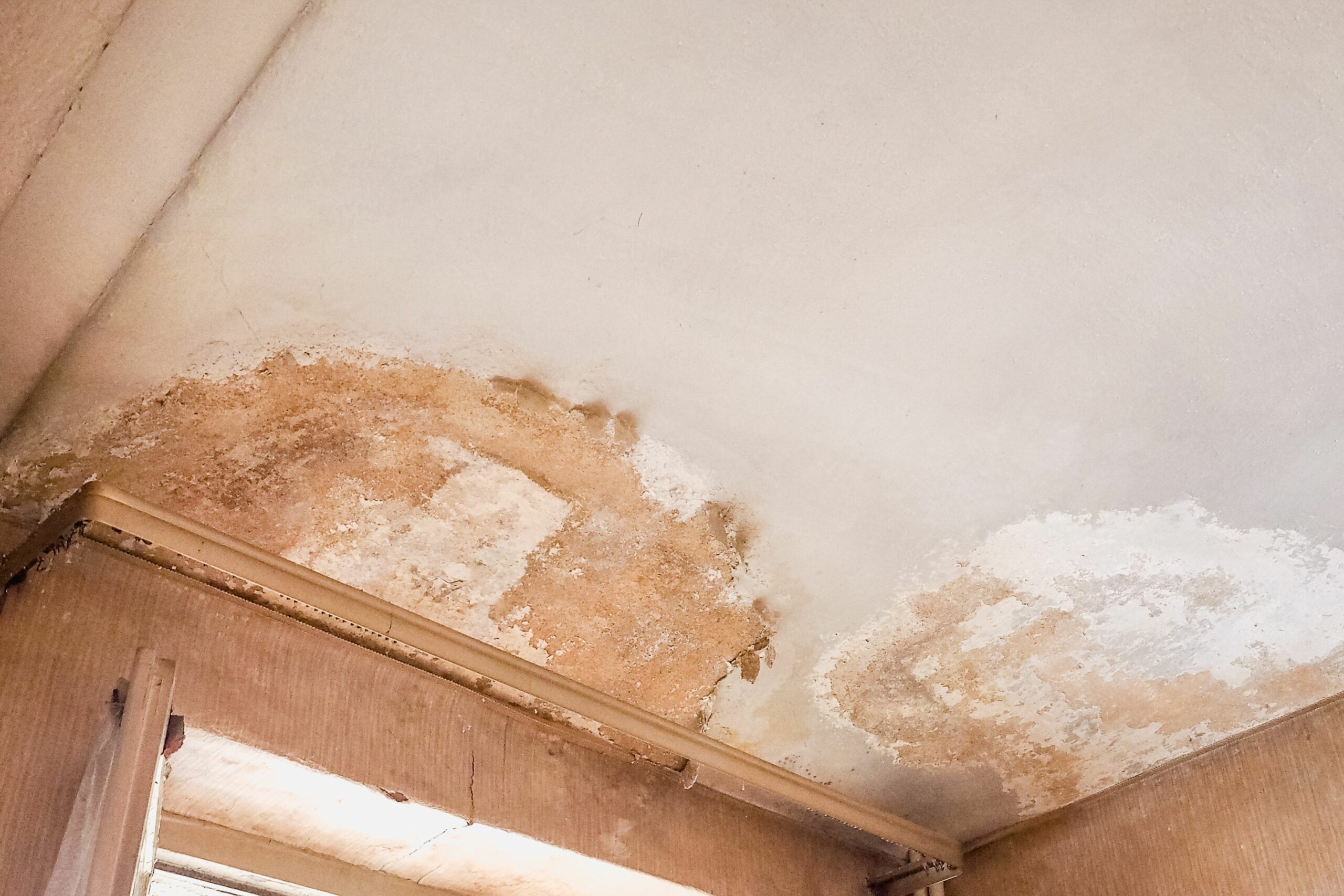 expert en batiment bayonne particulier